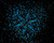 Technique: Pigments phosphorescents bleus dans la nuit et cristaux sur base acrylique <br>
                     		Format: Toile de 100 x 100 cm ◆ Prix sur demande